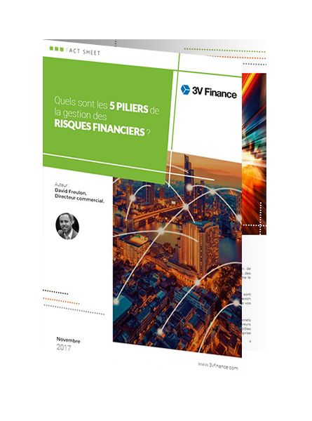 LB 1 - Les 5 piliers de la gestion des risques avec titan treasury.png
